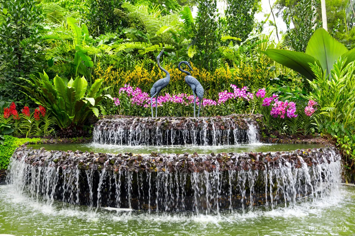 2_สวนกล้วยไม้แห่งชาติสิงคโปร์
