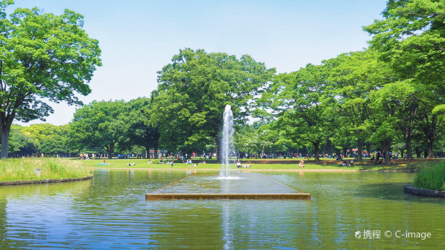 代代木公園