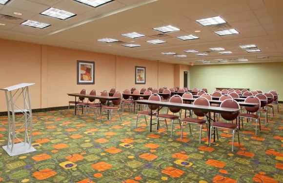 智選假日套房酒店克萊門森- 大學區