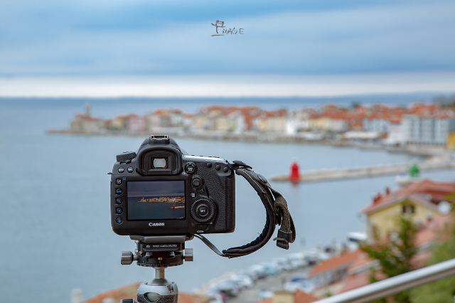 Piran Aquarium