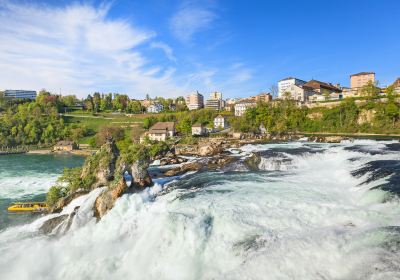 Rhine Falls