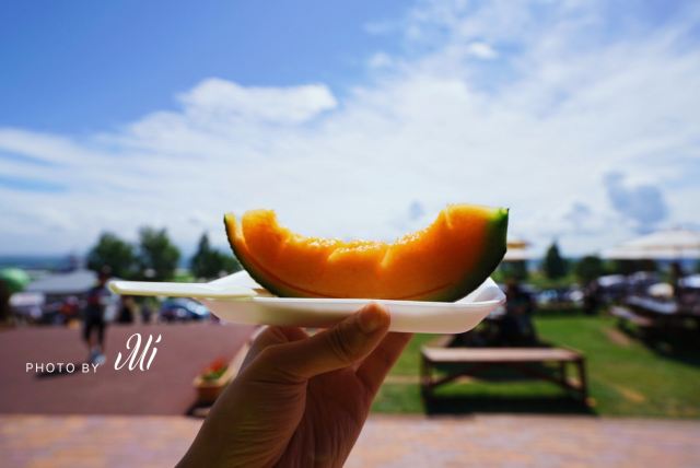 Tomita Melon House