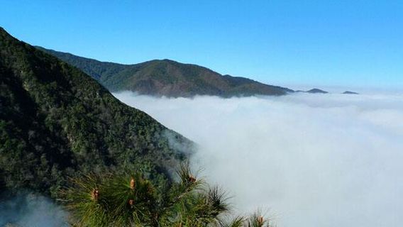Baozhu Mountain