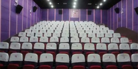 滄州鹽山鳳凰影劇院