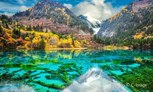 Five-Flower Lake