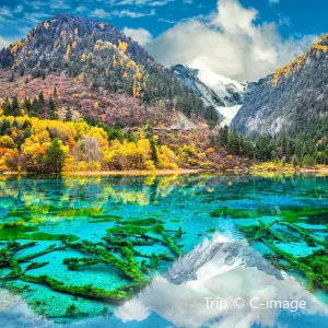 Five Flower Lake
