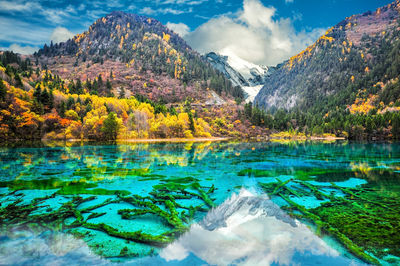 Five Flower Lake