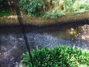 Waahalkada