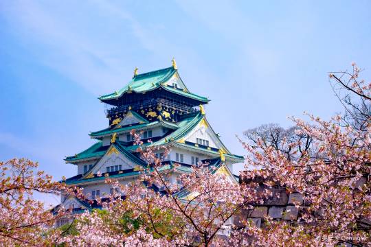 Japan Osaka Aquarium + Tempozan Ferris Wheel + Umeda Sky Building + Osaka Castle Castle + Dotonbori One-day Tour