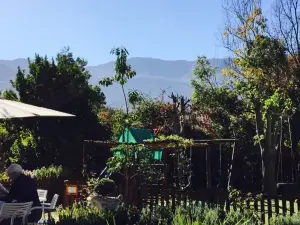 Fiore Garden Centre and Restaurant Greyton