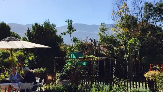 Fiore Garden Centre and Restaurant Greyton