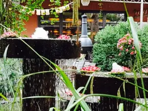 Restaurant Amadeus