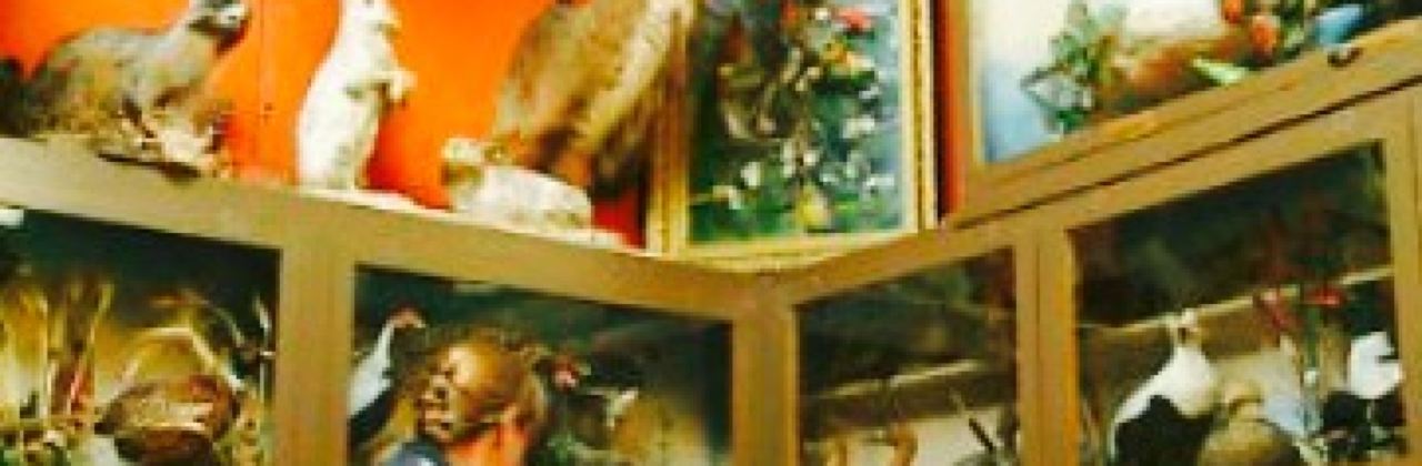 Buckhorn Exchange Restaurant