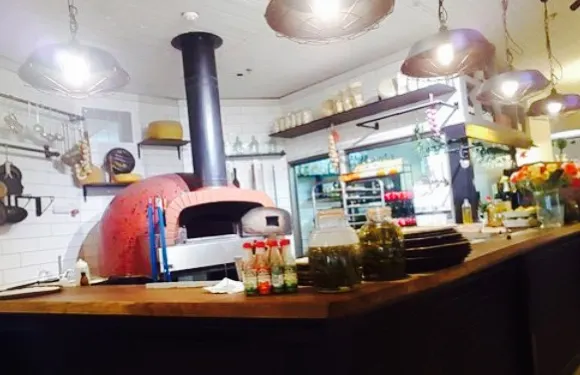 Tzel Tamar - Date Palm shadow