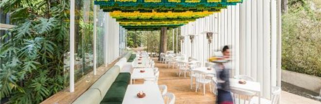 Saul Bistro - Zona 14