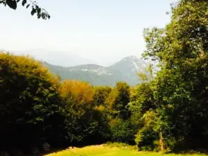 Grotto Alpe di Brusino