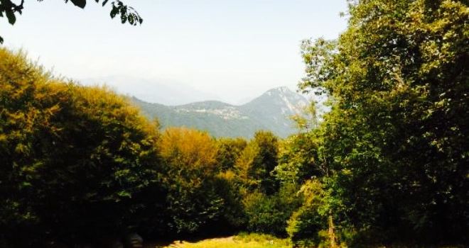 Grotto Alpe di Brusino