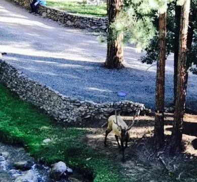 Sacred Grounds Coffee