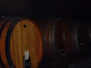 CANTINA CASTELLO D'UVIGLIE