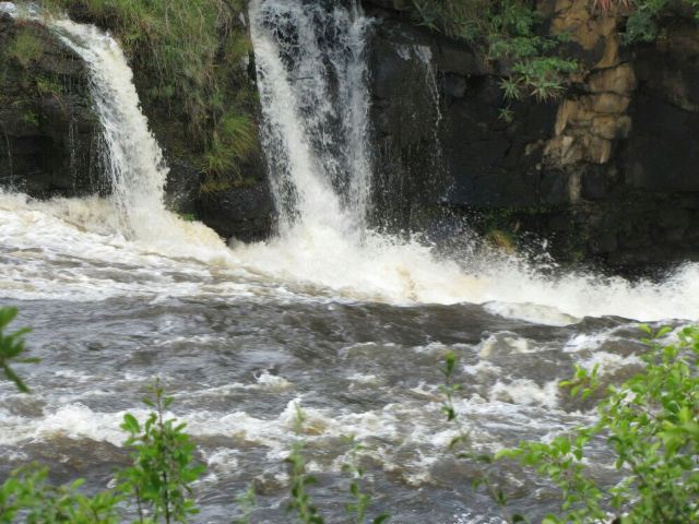 Chirinda Forest Reserve
