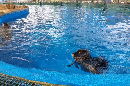 國友水果大賣場(天門山店)