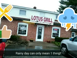 Lotus Grill