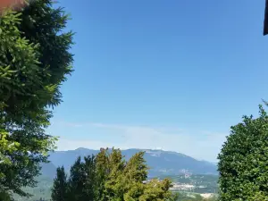 La cantina del prufesur