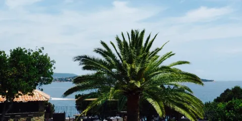 Restaurant U Paviddonu