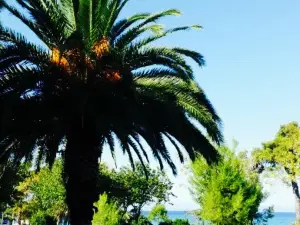 Taverna To Ellhnikon