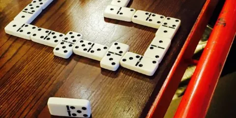 Turtle Bay - Blackburn