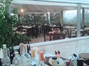 Divino Wine & Food