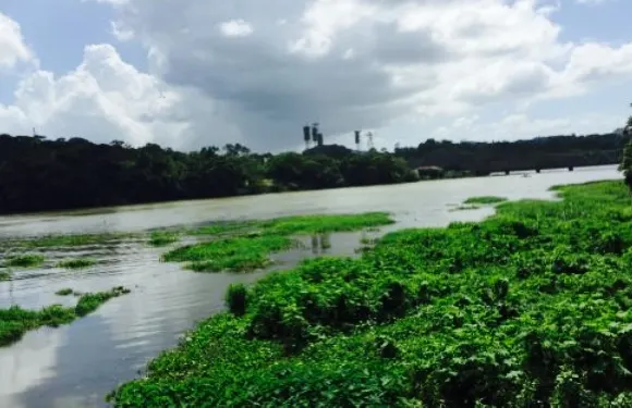 Restaurante Los Lagartos