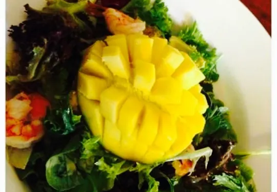 Hunter Belle Cheese Cafe
