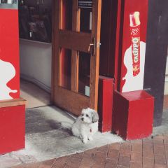 Best Cafe User Photo