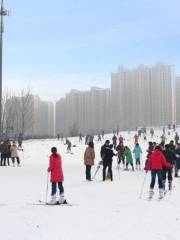 Baoding Botanical Garden Ski Field