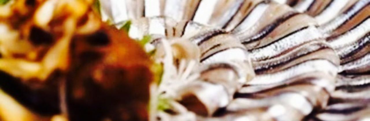 Washoku Dokoro Baramon