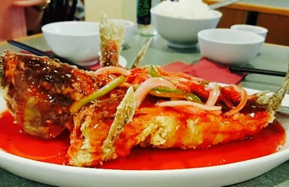 Delight Plus Chinese Restaurant