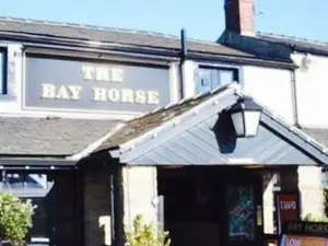 The Bayhorse