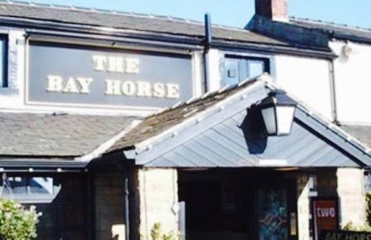 The Bayhorse