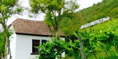 Saalhäuser Weinstuben
