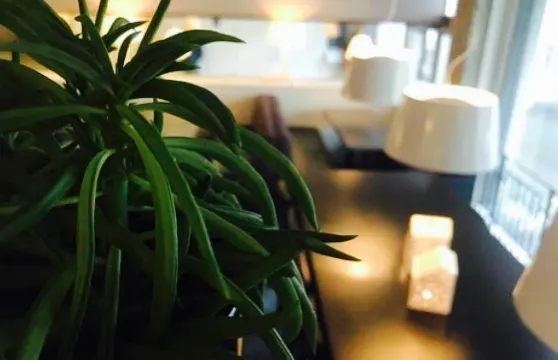 Kafè Kremmergaarden