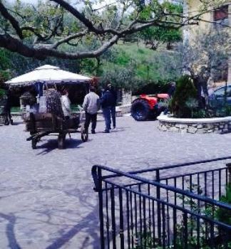 Tenuta Belvedere