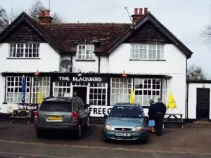 Blackbird Inn