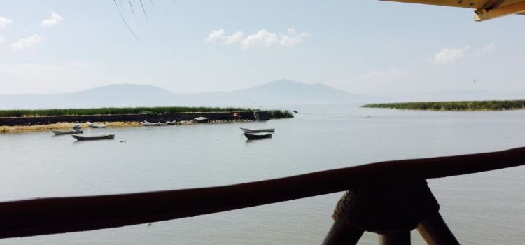 La Palapa del Guayabo