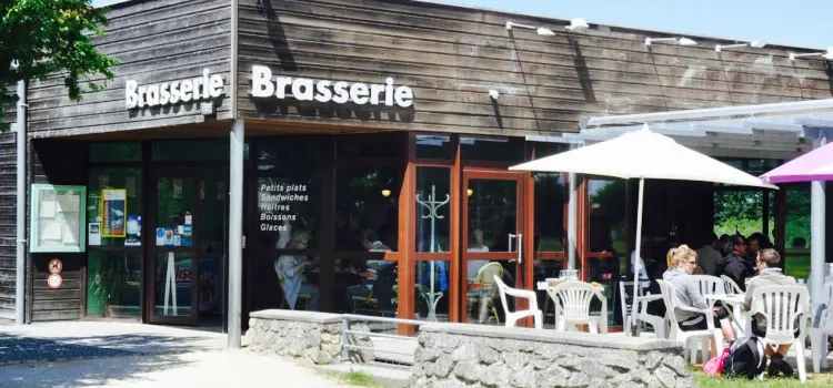 Brasserie