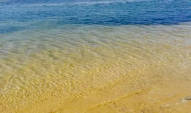 Restaurante Marisqueira Fabrica do Costa