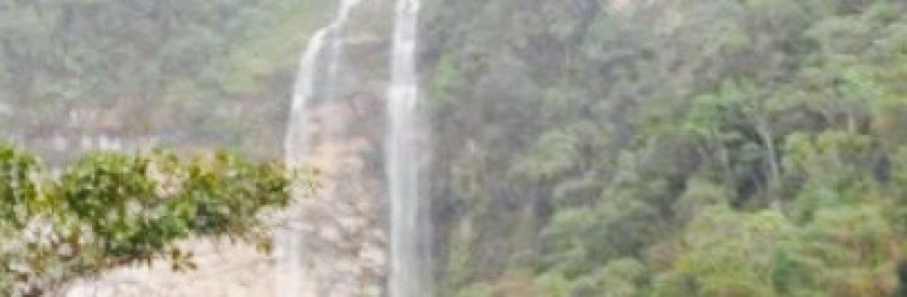 Restaurant El Paraiso Verde