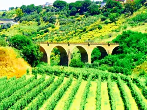 Enoteca Nanfro