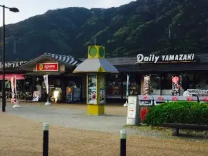 Yoshinogawa Service Area Kudarisen