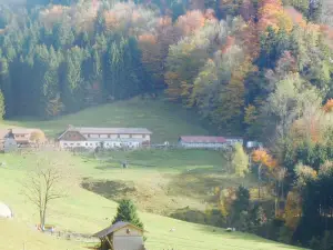 Almgasthof Hochsteinalm